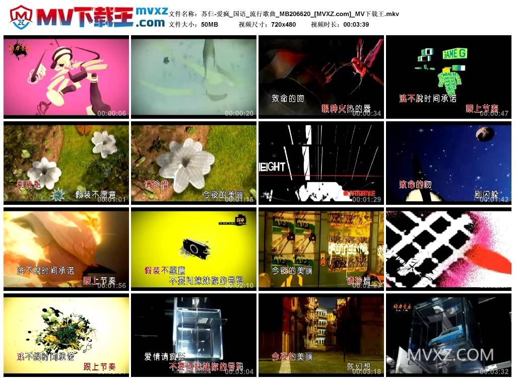 苏仨-爱疯_国语_流行歌曲_MB206620